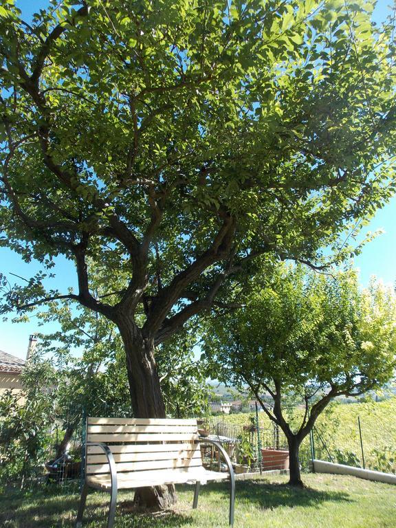 Apartamento Il Borghetto San Lorenzo in Campo Exterior foto
