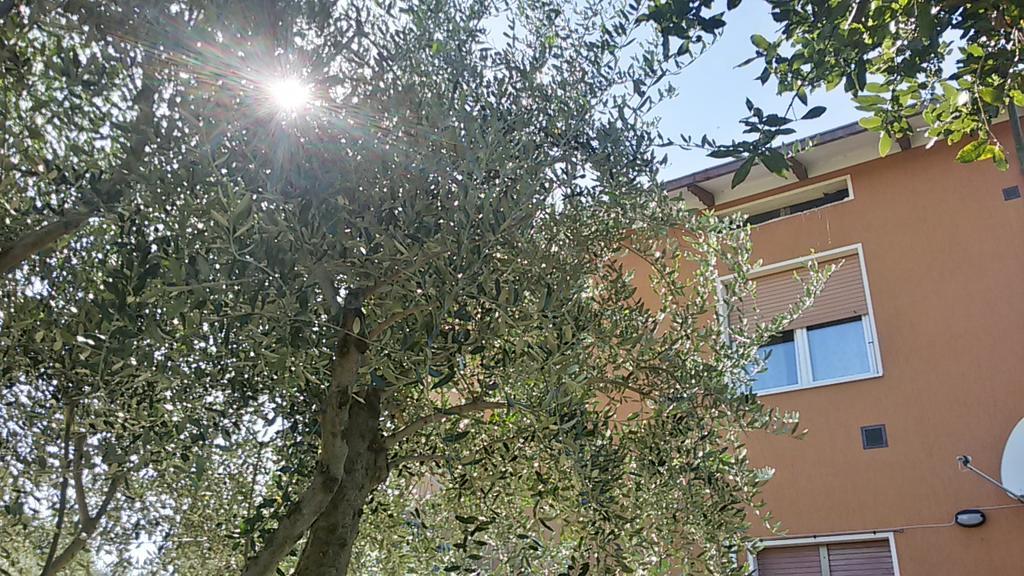 Apartamento Il Borghetto San Lorenzo in Campo Exterior foto